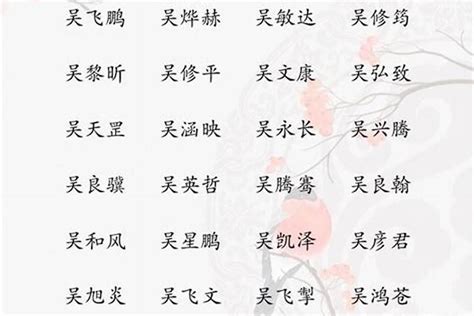 姓吳 取名|吴姓寓意好的男孩名字（精选200个）